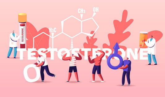 Are testosterone boosters helpful in gaining lean muscle mass?