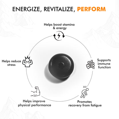 Shilajit Gummies