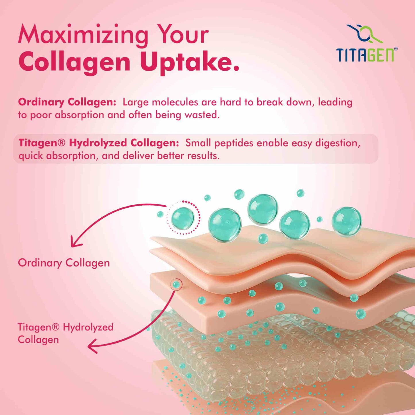 Skin Collagen Strawberry Watermelon