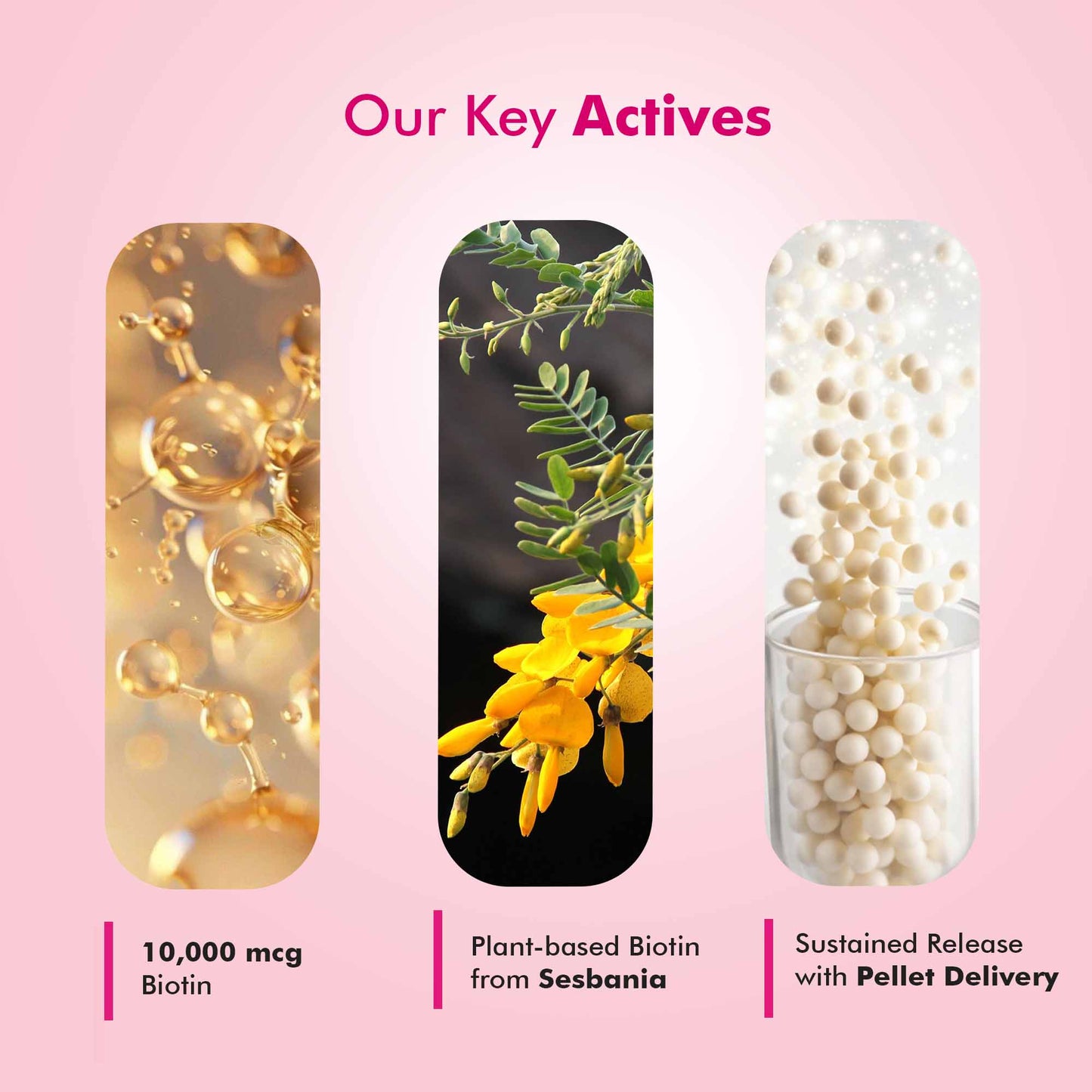Biotin+ Sesbania Agasthi